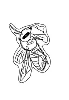 Vorschau - Mal- und Bastelvorlagen - Wildbienen und Hummeln - Ausmalbilder - Seite 2
