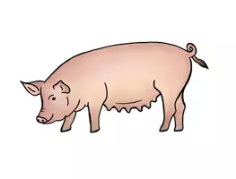 Vorschau - selbst erstellte Cliparts/Grafiken - Cliparts Haustiere und Nutztiere - Seite 3
