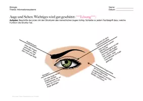 Vorschau - Arbeitsblätter - Bio: Informationssysteme (Auge und Sehen) - Seite 1