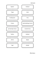 Vorschau - Spiele - Mathemaler - Seite 2