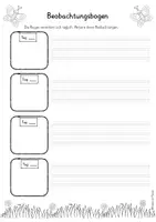 Vorschau - Arbeitsblätter - Beobachtungsbogen - Raupen und Schmetterlinge - Deckblatt