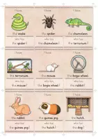 Vista previa - Unidades / Secuencias / Situaciones de Aprendizaje - I have... Who has...? | PETS | Lesespiel | english - página 3