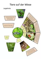 Vorschau - Präsentationen/Tafelbilder - Legekreis Wiese Tiere - Deckblatt