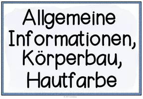 Vorschau - Poster - PERSONENBESCHREIBUNG - Tafelmaterial (Textaufbau + Satzanfänge) - Seite 3