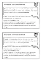 Vorschau - Arbeitsblätter - Das Regenwurm Forscherheft | Experimente und Versuche - Seite 3