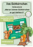 Vorschau - Poster - Eichhörnchen Sachunterricht Tafelmaterial "Warum können Eichhörnchen so gut klettern?" - Deckblatt