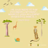 Aperçu - Affichage - Citation - Ne vous inquiétez pas d’avancer lentement - Page de couverture