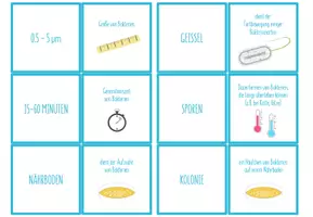 Vorschau - Spiele - Bakterien – Paare Finden Spiel / Zuordnungsaktivität - Seite 3