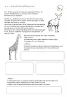 Vorschau - Unterrichtsreihen - Evolutionstheorien Darwin und Lamarck - Seite 2