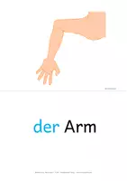 Vorschau - Fördermaterial/Inklusion - Körperteile DaZ - Bildkarten (DIN A5) - Bild-und Wortkarten - #top90 - Seite 2