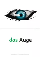 Vorschau - Fördermaterial/Inklusion - Körperteile DaZ - Bildkarten (DIN A5) - Bild-und Wortkarten - #top90 - Seite 3