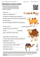 Vorschau - Arbeitsblätter - Arbeitsblatt "Kamele" + Onlineübung & MP3 + Infografik - Deckblatt