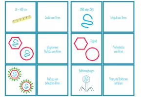 Vorschau - Spiele - Virus / Viren – Paare Finden Spiel / Zuordnungsaktivität - Seite 1