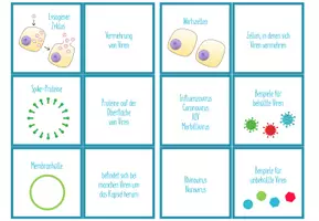Vorschau - Spiele - Virus / Viren – Paare Finden Spiel / Zuordnungsaktivität - Seite 2