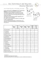 Vorschau - Arbeitsblätter - Stammbaum-Rekonstruktion Komplettpaket - Seite 2