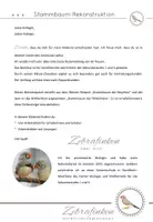 Vorschau - Arbeitsblätter - Stammbaum-Rekonstruktion Komplettpaket - Seite 1