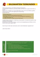 Vorschau - Arbeitsblätter - Material-Bundle zum Thema "Tiere" (DaF/DaZ) - Seite 2
