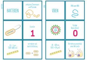 Vorschau - Spiele - Vergleich Bakterien und Viren –Zuordnungsaktivität - Seite 1