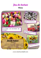 Aperçu - Apprentissages en autonomie - Jeu de lecture - Fleurs et printemps - Page de couverture