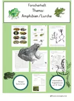 Vorschau - Arbeitsblätter - Forscherheft/Arbeitsblätter- Thema Amphibien (Wirbeltiere) - Deckblatt