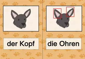 Vorschau - Bildkarten - Körperteile des Hundes Bild- und Wortkarten - Seite 3