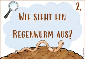 Vorschau - Unterrichtsreihen - Regenwurm Reihentransparenz und Begleitmaterial - Seite 3