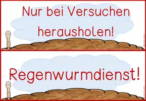 Vorschau - Präsentationen/Tafelbilder - Regenwurm Regeln - Seite 2