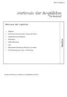 Vorschau - Unterrichtsreihen - Materialpaket Wirbeltiere - Seite 3