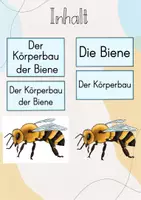 Vorschau - Stundenentwürfe - XL Materialpaket: Die Biene - Seite 2