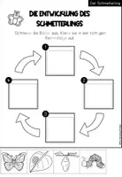 Vorschau - Unterrichtsreihen - Der Schmetterling - Forschungsheft (Arbeitsblätter + Lösungsblätter) - Seite 3