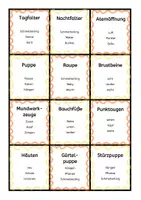 Vorschau - Spiele - Schmetterling / Insekten - Wörter raten - Deckblatt
