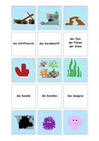 Vorschau - Spiele - Zuordnungskarten Unterwasser - Seite 3