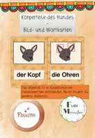 Vorschau - Bildkarten - Körperteile des Hundes Bild- und Wortkarten - Deckblatt