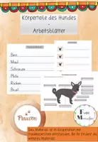 Vorschau - Arbeitsblätter - Körperteile des Hundes Arbeitsblätter - Deckblatt