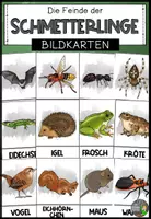 Vorschau - Poster - Der Schmetterling - Die Feinde - Bildkarten (Tafelmaterial) - Deckblatt
