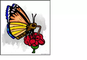 Vorschau - Poster - Der Schmetterling - Tafelmaterial zur Nahrung (Bildkarten und Textkarten) - Seite 3