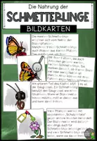 Vorschau - Poster - Der Schmetterling - Tafelmaterial zur Nahrung (Bildkarten und Textkarten) - Deckblatt