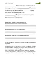 Vorschau - Arbeitsblätter - Leben im Dschungel Steckbrief Texte Aufgaben Spiel Lösung - Seite 2
