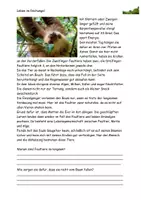 Vorschau - Arbeitsblätter - Leben im Dschungel Steckbrief Texte Aufgaben Spiel Lösung - Seite 3