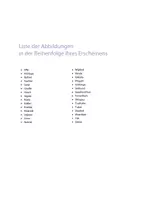 Vorschau - Fördermaterial/Inklusion - Zootiere DaZ - Wilde Tiere - Tiere im Zoo DaZ - Zootiere - Bildkarten & Wortkarten - Bild- Wortkarten - Tafelmaterial - Zuordnungskarten - Seite 3