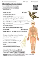 Vorschau - Arbeitsblätter - Lernposter + Arbeitsblatt "Knochen" + Onlineübung & MP3 + Infografik - Seite 1