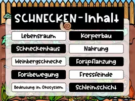 Vorschau - Text - Interaktives Leseheft zur Schnecke - Wirbellose - Seite 3