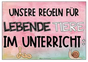 Vorschau - Poster - Regeln zum Umgang mit lebenden Tieren - Wirbellose - Seite 2