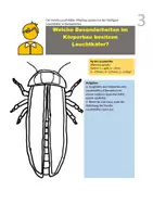 Vorschau - Unterrichtsreihen - Leuchtkäfer - Seite 3