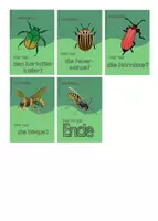 Vorschau - Spiele - Ich habe, wer hat? - Insekten - Seite 3