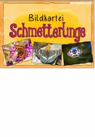 Vorschau - Bildkarten - Bildkartei Schmetterlinge - Seite 3