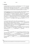 Vorschau - Arbeitsblätter - AB Evolution der Arten Käferspiel - Seite 2