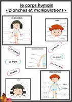 Aperçu - Apprentissages en autonomie - Le corps humain - planches et manipulation - Page de couverture