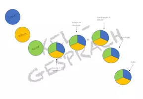 Vorschau - Anderer Materialtyp - Gesprächsleitfaden und Karten für Lernentwicklungsgespräche/Kind-Eltern-Lehrer-Gespräche - Seite 2