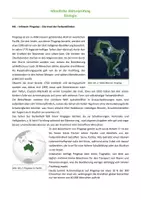 Vorschau - Test - Abitur Biologie – Mündliche Prüfung (Pingelap, Stammbaumanalyse) - Deckblatt